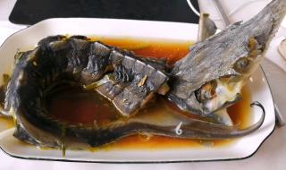 冻的鲟鱼怎么吃 清蒸鲟鱼的做法